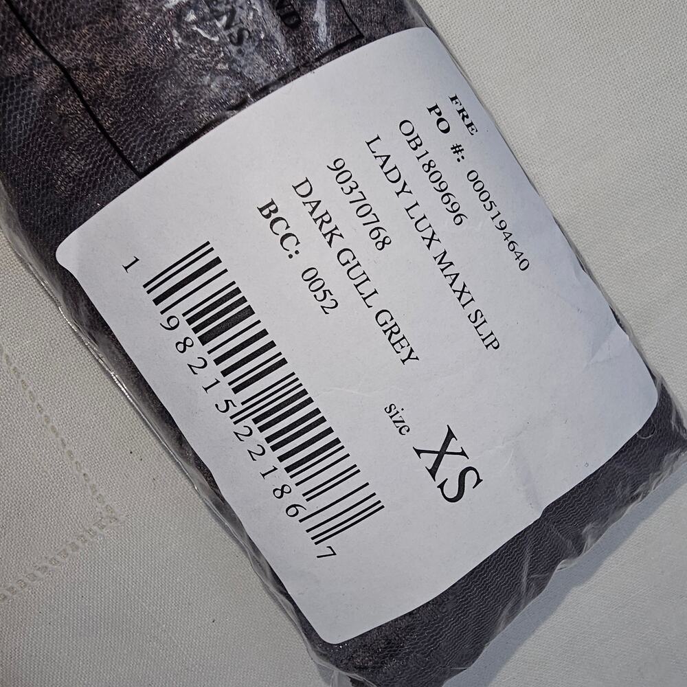 Free People Lady Lux Maxi Slip Dress Dark Gull Grey Sheer Lace Layering XS NWT - Picture 5 of 14